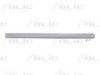 FIAT 720894099 Trim/Protective Strip, door